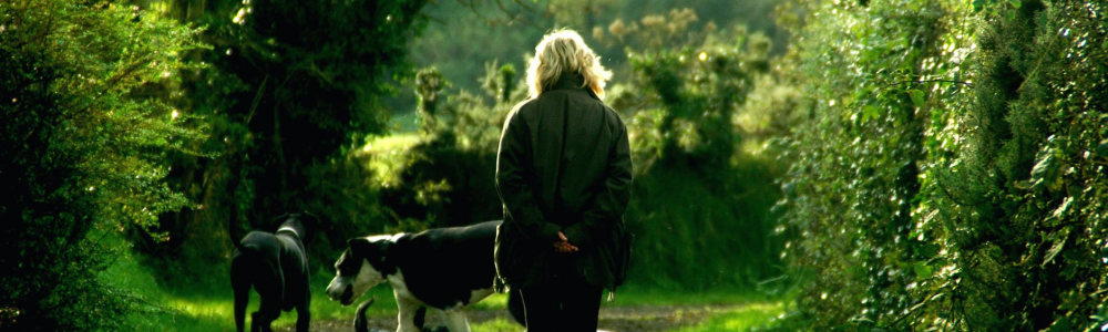 woman talking her dogs for a walk